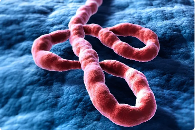 Article Picture
